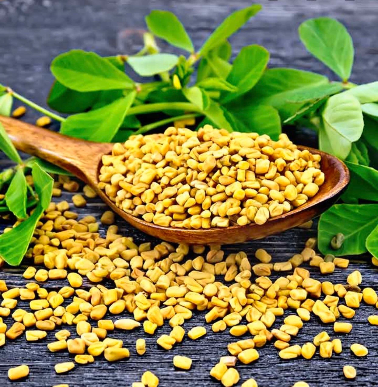 Methi Seeds